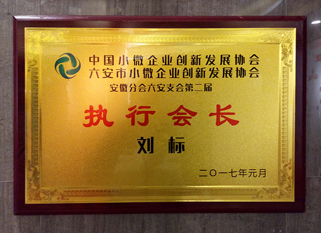 六安标榜装饰-执行会长